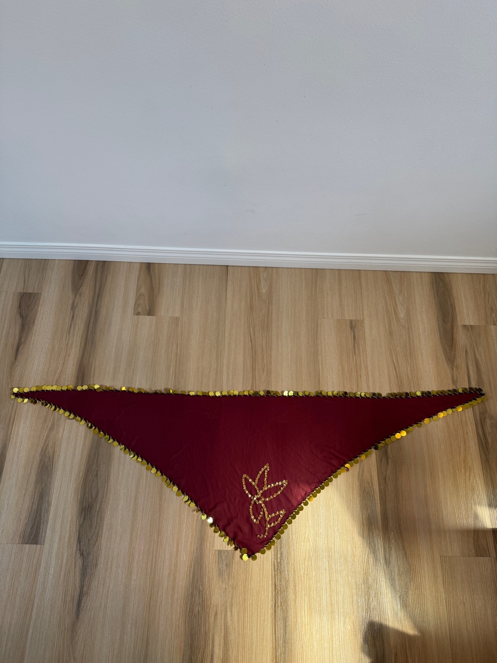 Maroon and Gold Sequin Belly Dance Hip Scarf Wrap